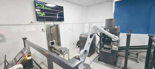 向綠而生 湖北交投集團(tuán)積極培育發(fā)展新質(zhì)生產(chǎn)力